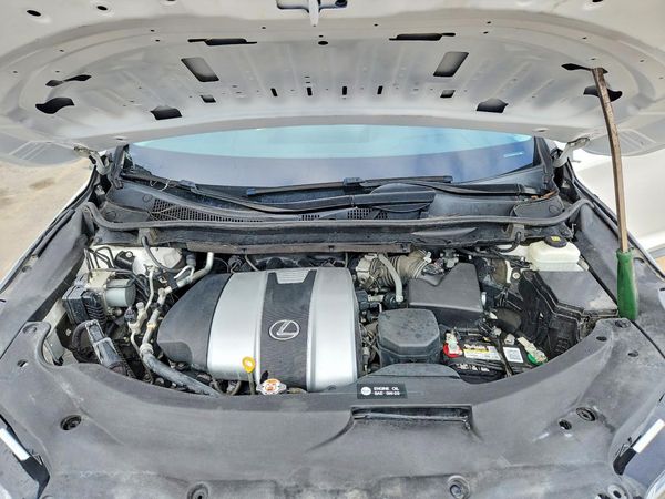 2019 LEXUS RX 350 350 Base/F Sport