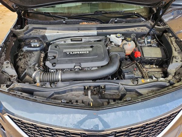 2019 CADILLAC XT4 Premium Luxury