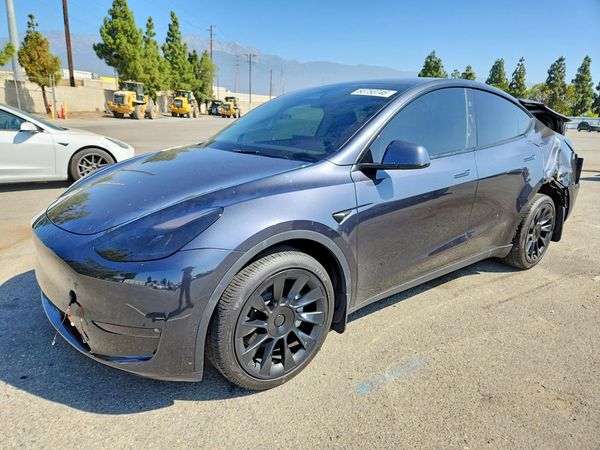 2025 TESLA MODEL Y