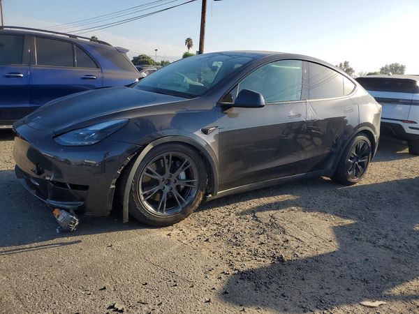 2025 TESLA MODEL Y