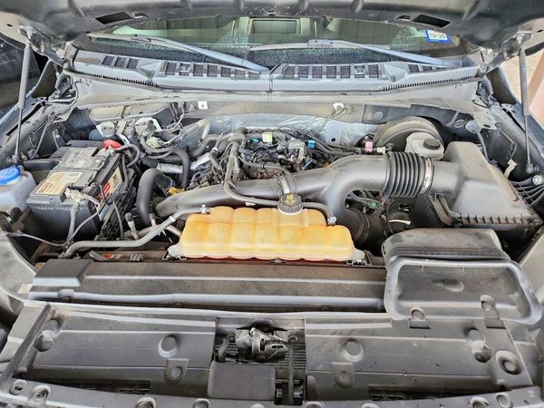 2019 FORD F150