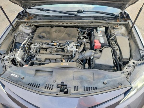 2019 TOYOTA CAMRY L/LE/SE/XLE