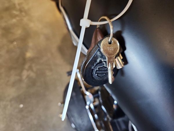 2017 HARLEY-DAVIDSON FLSTFBS