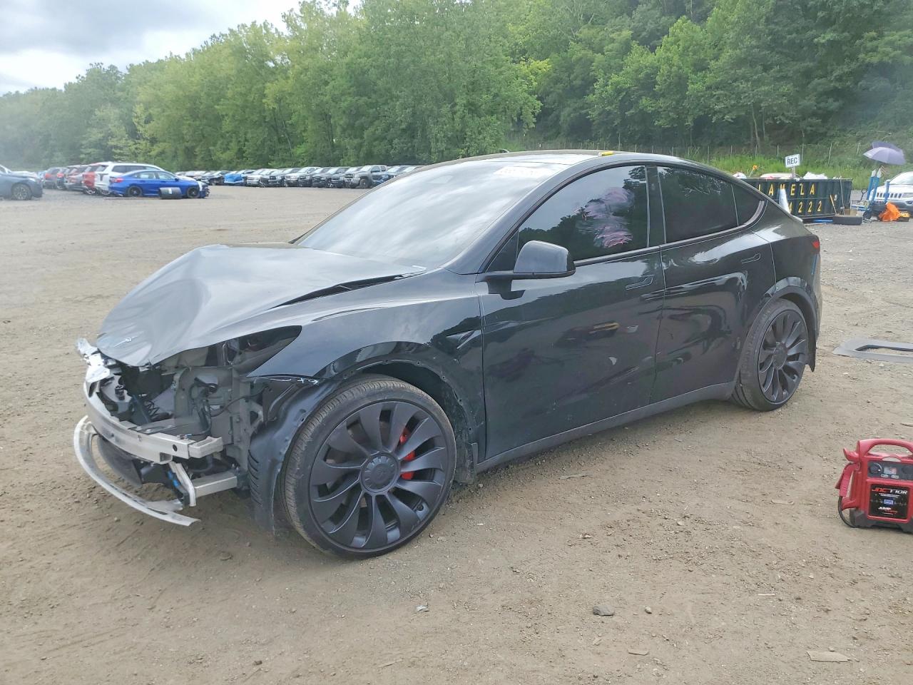 2024 TESLA MODEL Y