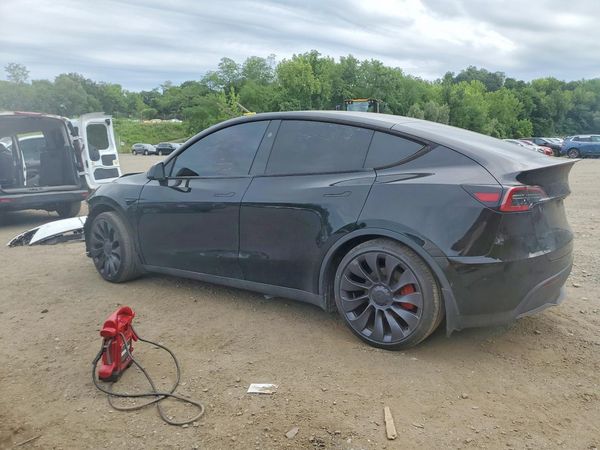 2024 TESLA MODEL Y
