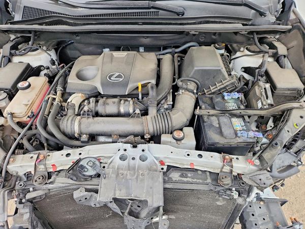 2021 LEXUS NX