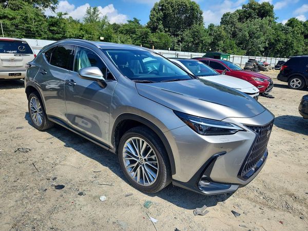 2023 LEXUS NX 350 Luxury