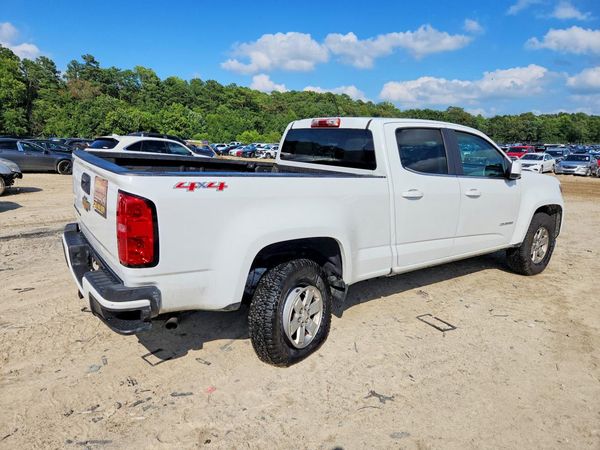2019 CHEVROLET COLORADO Work Truck