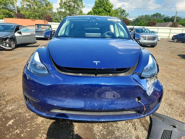 2025 TESLA MODEL Y — DIRF