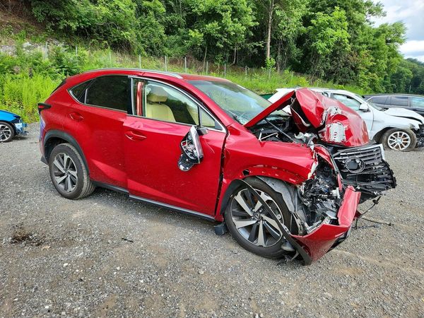 2018 LEXUS NX 300 Luxury — Passenger 3/4