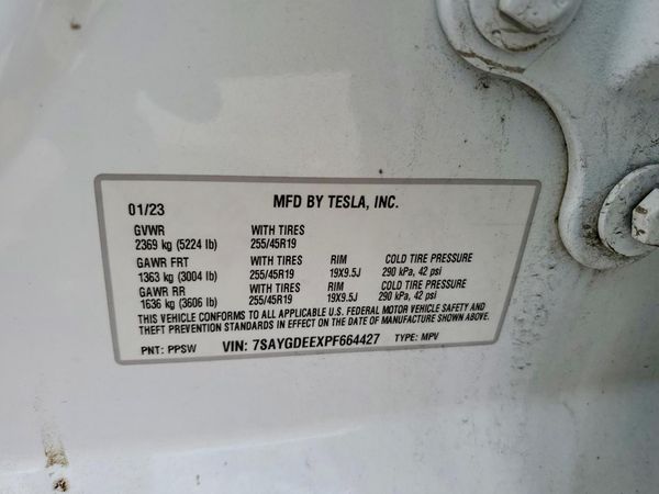 2023 TESLA MODEL Y