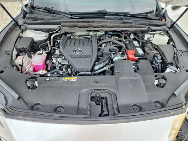 2024 LEXUS RX 350