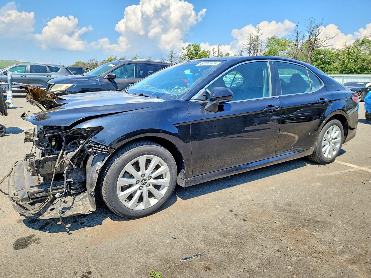 2019 TOYOTA CAMRY L/LE/SE/XLE