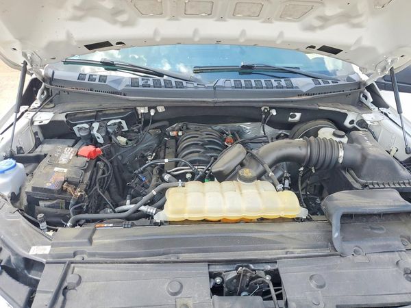 2019 FORD F150