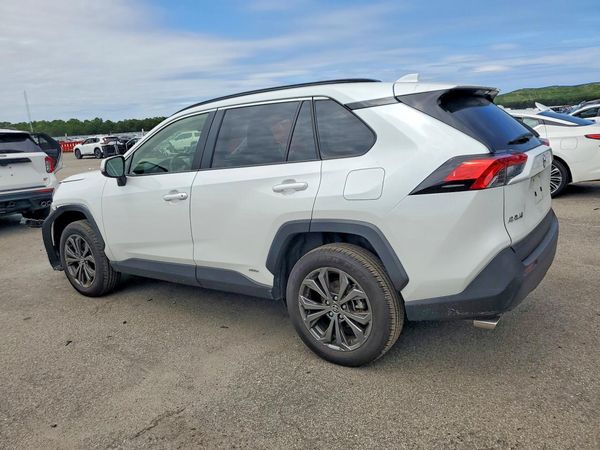 2025 TOYOTA RAV4 XLE Premium