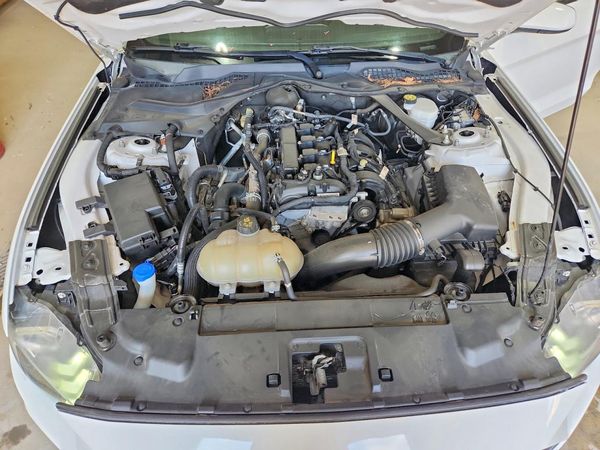 2021 FORD MUSTANG I4 Convertible