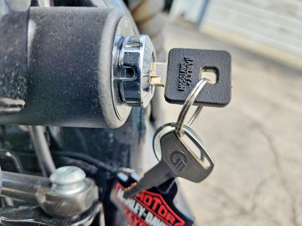2020 HARLEY-DAVIDSON XL883