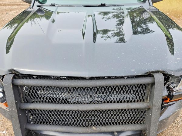 2019 CHEVROLET SILVERADO Work Truck/LS/Fleet/Base