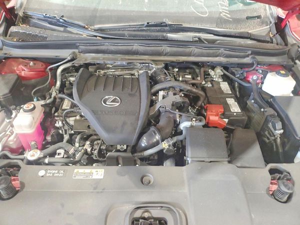 2023 LEXUS RX
