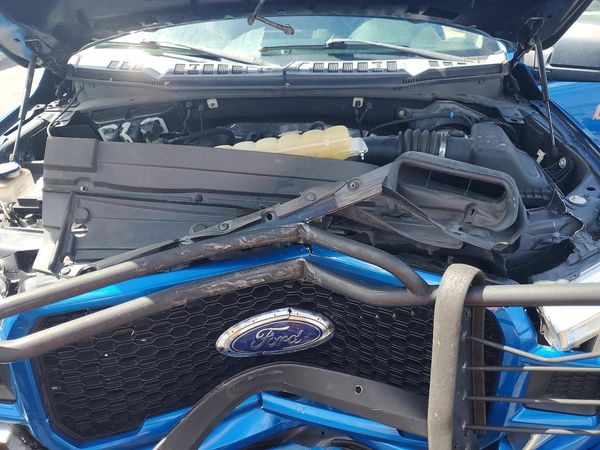 2019 FORD F150