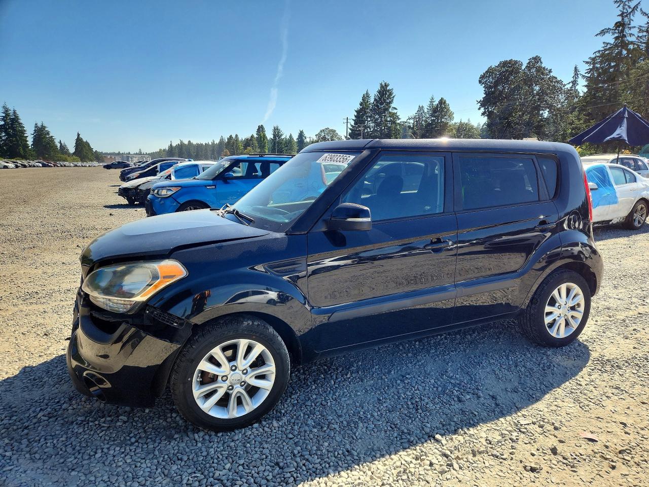 2013 KIA SOUL All Trims