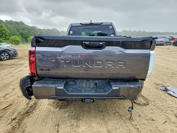 2024 TOYOTA TUNDRA Platinum