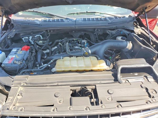 2019 FORD F150