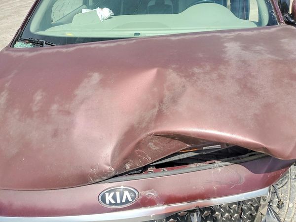2015 KIA SEDONA