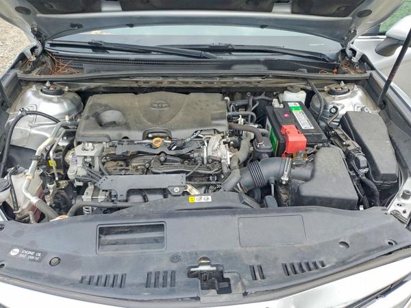 2019 TOYOTA CAMRY L/LE/SE/XLE