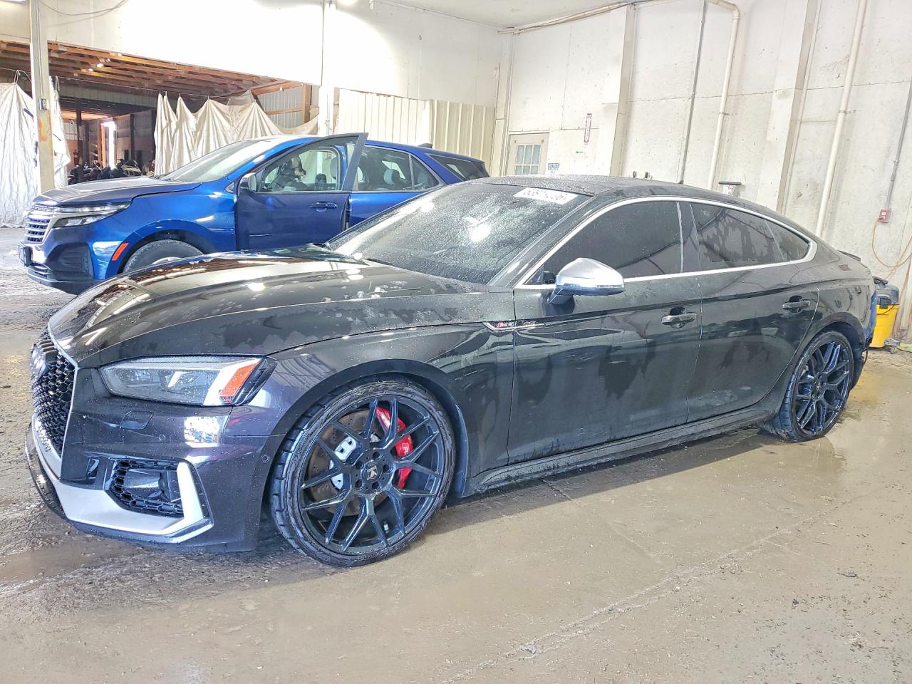 2019 AUDI RS5 quattro