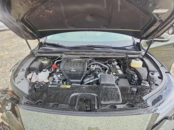 2026 LEXUS RX 350