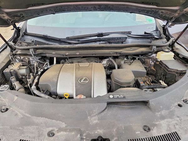 2019 LEXUS RX 350 350 Standard