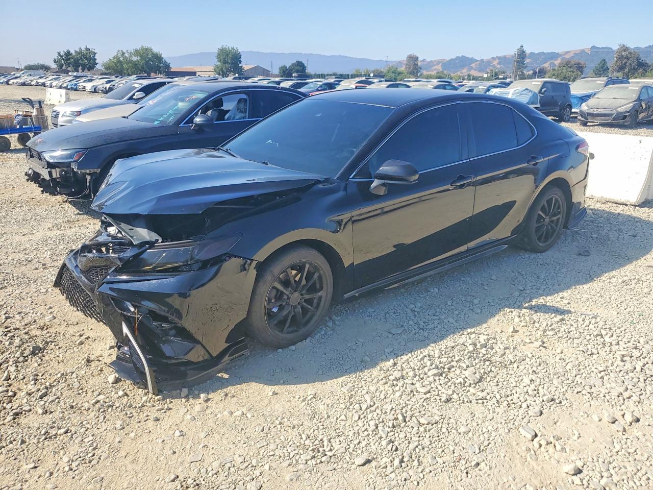 2019 TOYOTA CAMRY L/LE/SE/XLE — Front 3/4
