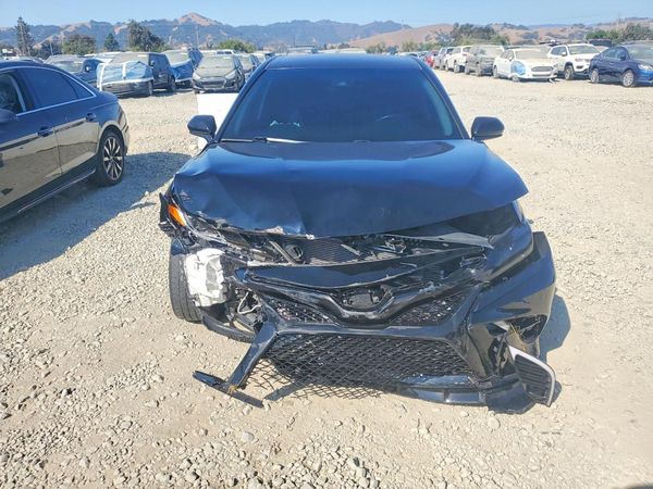 2019 TOYOTA CAMRY L/LE/SE/XLE — DIRF