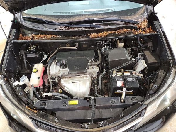 2015 TOYOTA RAV4 XLE (M Grade) — Engine bay