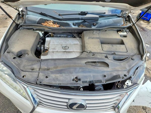 2013 LEXUS RX