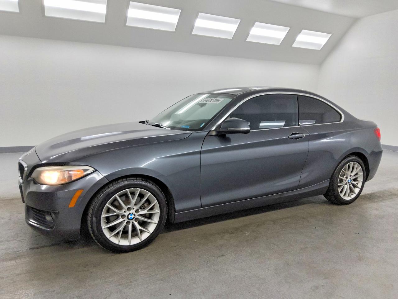 2014 BMW 228