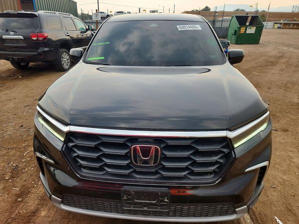 2025 HONDA PILOT EX-L, EX-L HPD