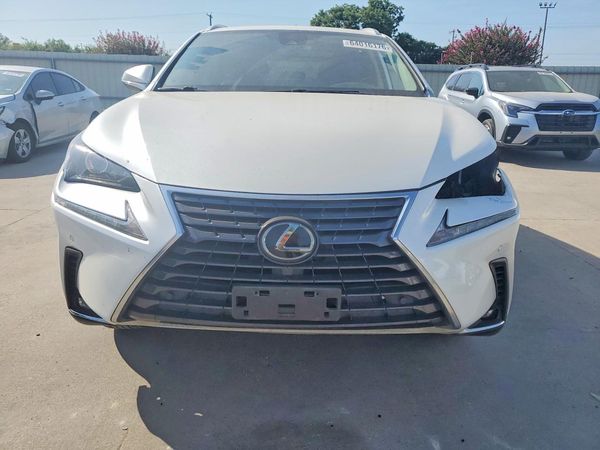 2019 LEXUS NX 300 300 Luxury