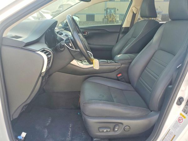 2019 LEXUS NX 300 300 Luxury
