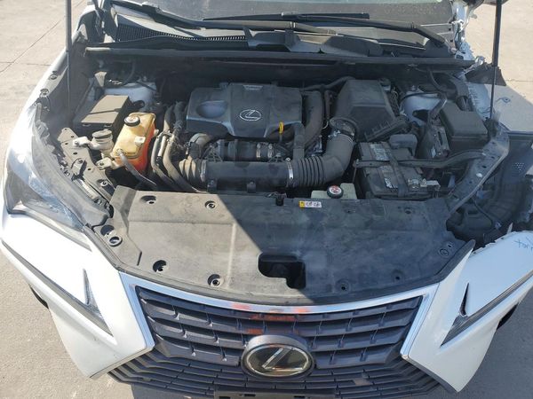 2019 LEXUS NX 300 300 Luxury