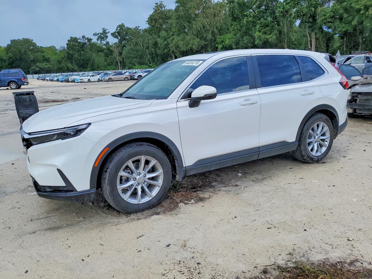 2024 HONDA CR-V