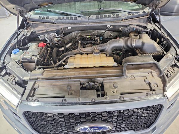 2019 FORD F150