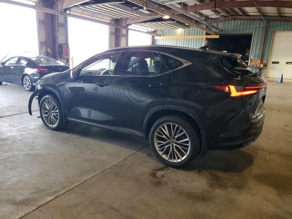 2025 LEXUS NX 350H 350h Luxury