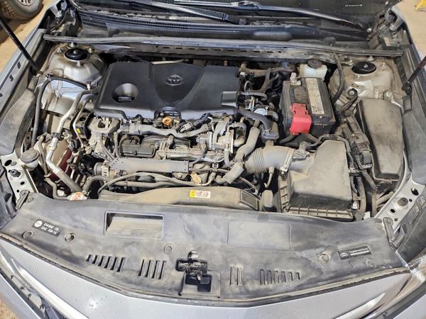 2019 TOYOTA CAMRY L/LE/SE/XLE