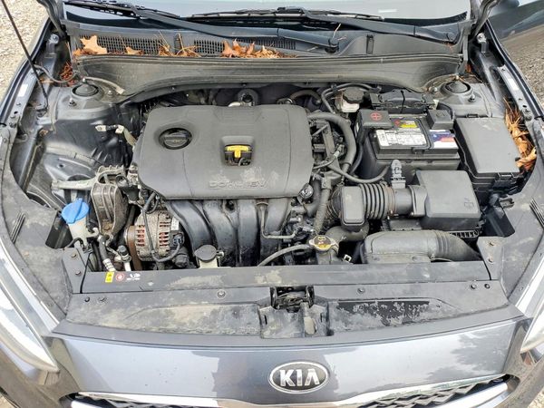 2019 KIA FORTE S/GT Line