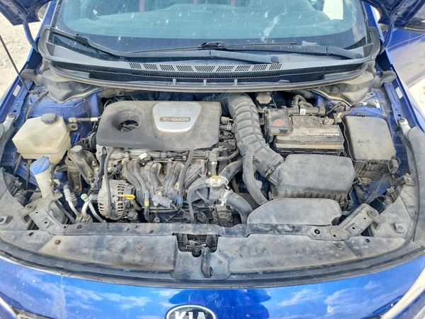 2017 KIA FORTE5 EX Premium, SX
