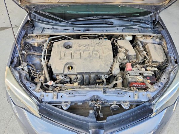 2019 TOYOTA COROLLA