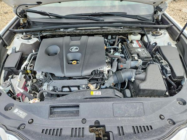 2021 LEXUS ES 250 350 Premium
