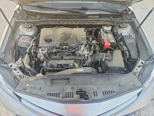 2019 TOYOTA CAMRY L/LE/SE/XLE